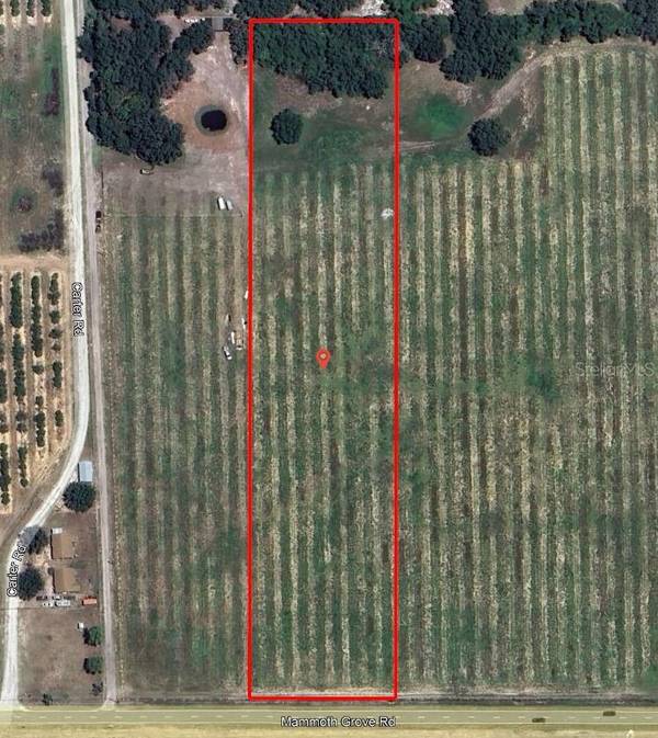 MAMMOTH GROVE RD, Lake Wales, FL 33898