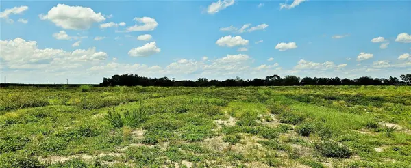 MAMMOTH GROVE RD, Lake Wales, FL 33898