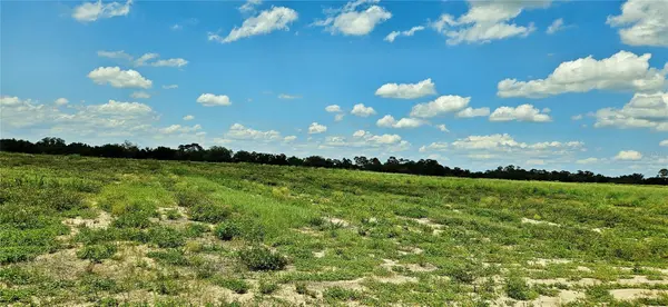 MAMMOTH GROVE RD, Lake Wales, FL 33898