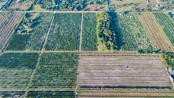 2205 HICKS RD, Lorida, FL 33857