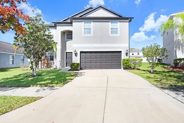 13117 ROYAL PINES AVE, Riverview, FL 33579