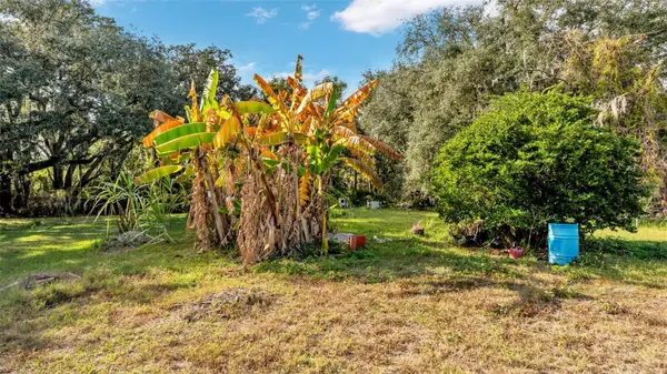23 VIOLET ST, Plant City, FL 33563