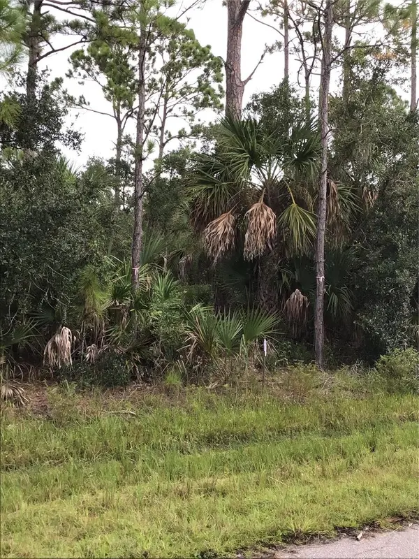 14202,m 14210,14218,14226 HYDRANGEA AVE, Port Charlotte, FL 33953