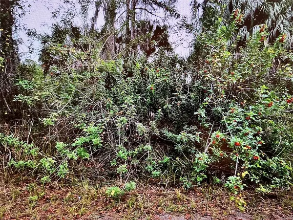 LOT 24 CAMPBELL ST, North Port, FL 34288
