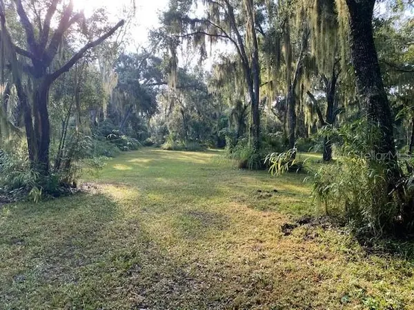 351 Palm AVE, Oak Hill, FL 32759