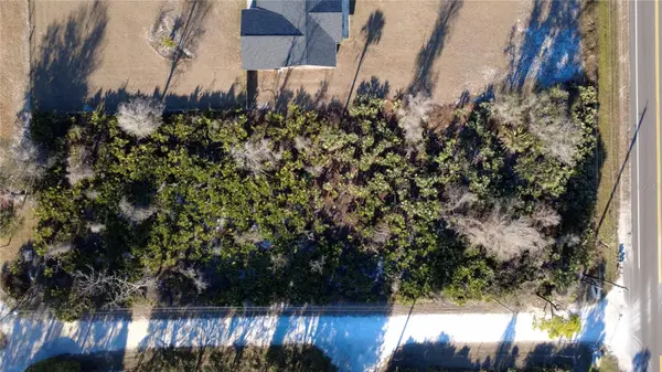 SR-415, New Smyrna Beach, FL 32168