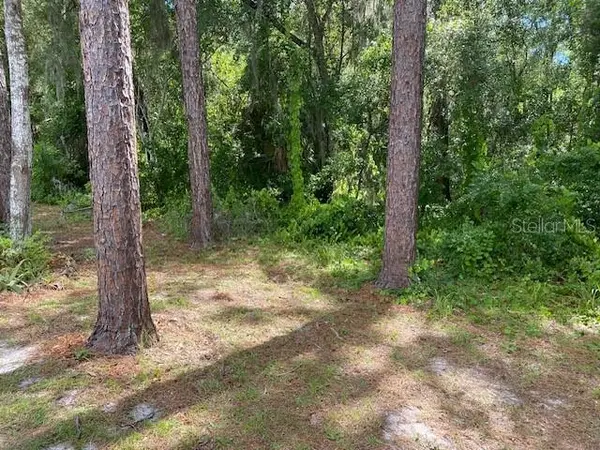 00, Deland, FL 32724