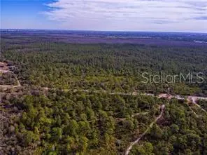INTERNATIONAL DR, Orlando, FL 32821