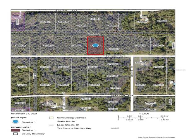 QUINCE AVE, Eustis, FL 32736
