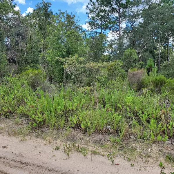NE 66TH LN, Williston, FL 32696