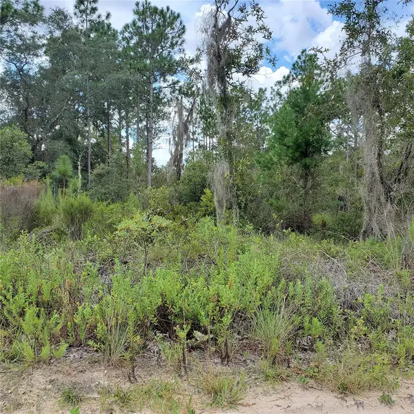 NE 66TH LN, Williston, FL 32696