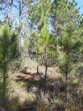 SALYERS RD, Clermont, FL 34714
