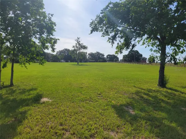 2850 DOWMAN DR, Apopka, FL 32712