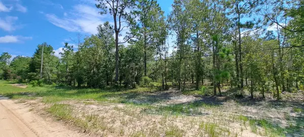 216 HIGHLAND DR, Hawthorne, FL 32640