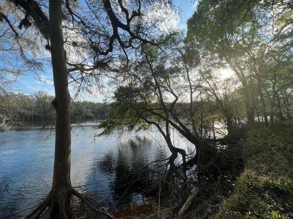 1263 NW 82ND TER, Bell, FL 32619