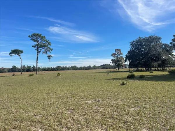 FAIR ST, Astatula, FL 34705