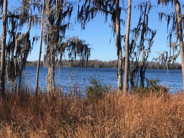 PARCEL 2 N FORT CHRISTMAS RD, Christmas, FL 32709
