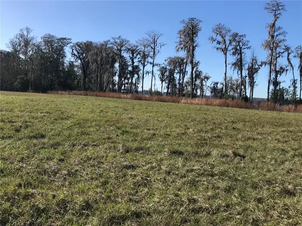 PARCEL 2 N FORT CHRISTMAS RD, Christmas, FL 32709
