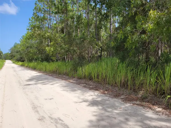 NE 78TH LN, Bronson, FL 32621