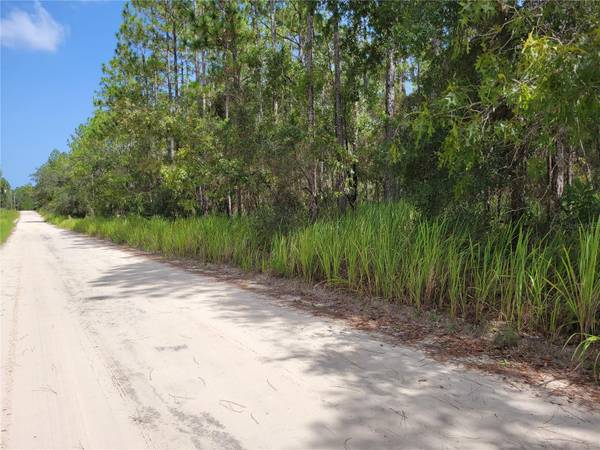 NE 78TH LN, Bronson, FL 32621