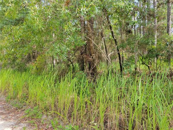 NE 78TH LN, Bronson, FL 32621