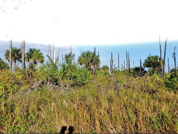 DEVONIA CIR, North Port, FL 34288