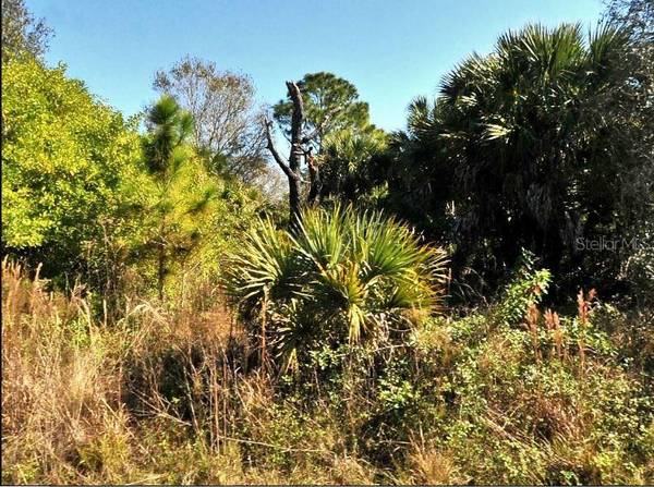FIVELEAF RD, North Port, FL 34288