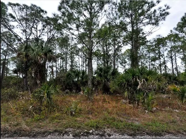 LANGLAIS DR, North Port, FL 34288