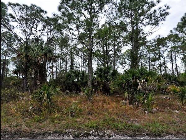 LANGLAIS DR, North Port, FL 34288