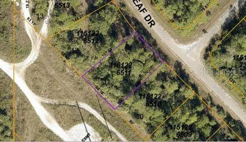 BLUELEAF DR, North Port, FL 34288