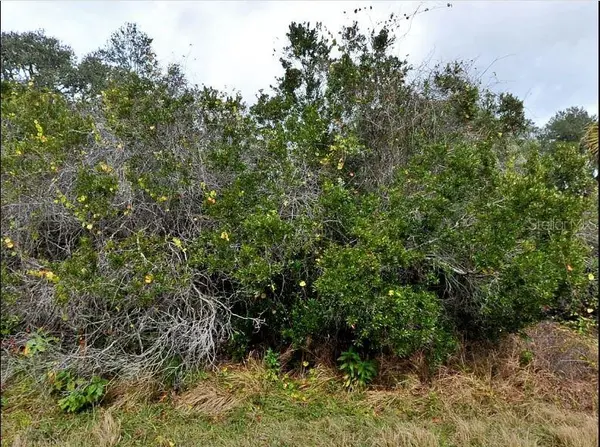 BRIXTON TER, North Port, FL 34291