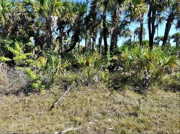 HIAWATHA TER, North Port, FL 34288