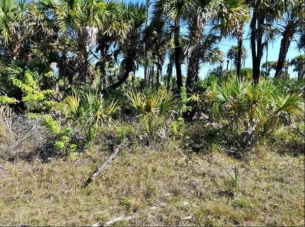 HIAWATHA TER, North Port, FL 34288