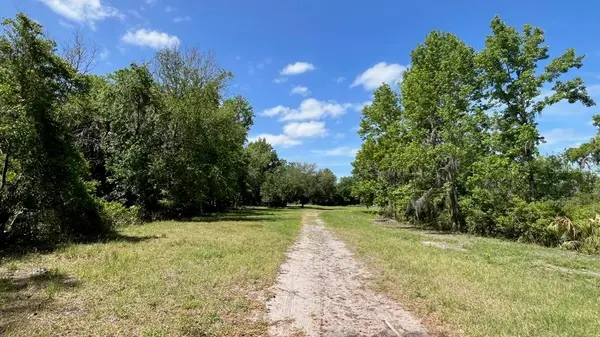 445 VAN ARSDALE ST, Oviedo, FL 32765