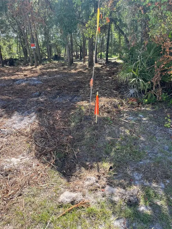 7123 GLENCHESTER DR, Webster, FL 33597
