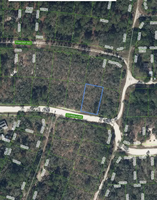 284 DEERWALK AVE, Lake Placid, FL 33852