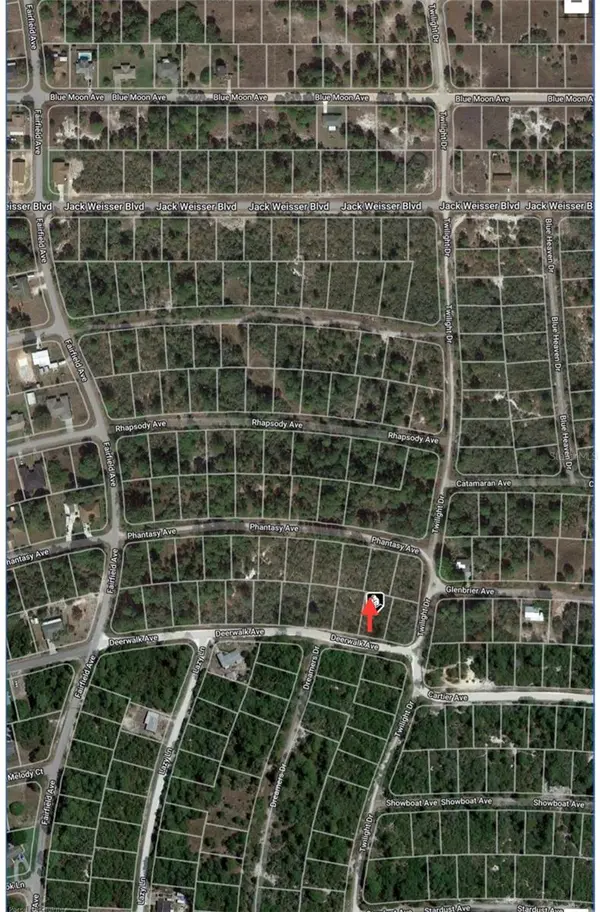 284 DEERWALK AVE, Lake Placid, FL 33852