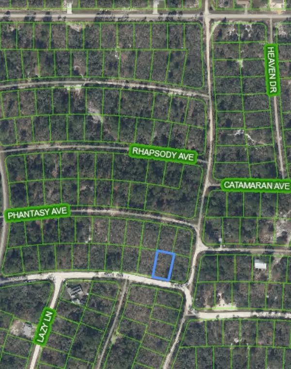 284 DEERWALK AVE, Lake Placid, FL 33852