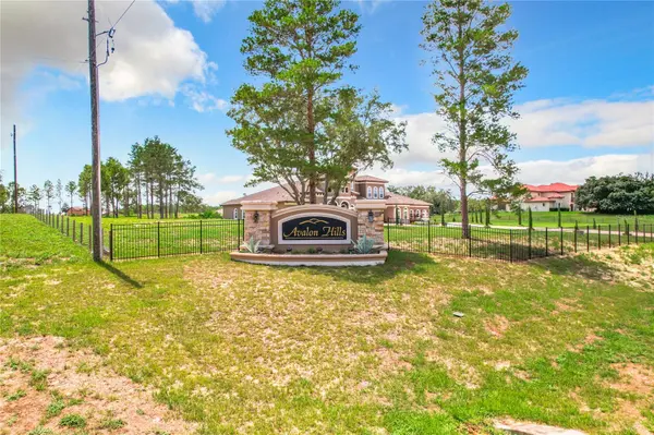 10133 COLT LN, Winter Garden, FL 34787