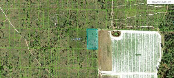 Lake Wales, FL 33898