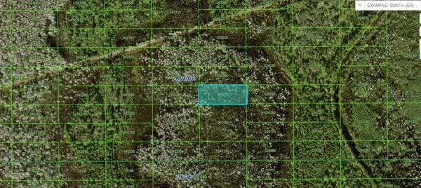 Polk City, FL 33868