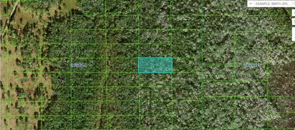 Polk City, FL 33868