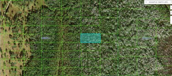 Polk City, FL 33868
