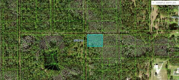 Polk City, FL 33868