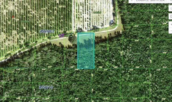 DEEN STILL RD, Polk City, FL 33868
