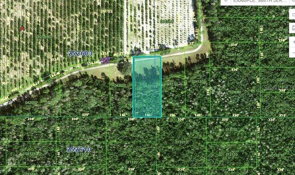 DEEN STILL RD, Polk City, FL 33868