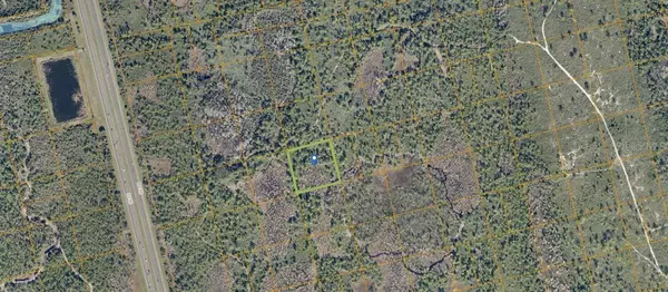 COUNTY LINE DITCH RD, Oak Hill, FL 32759