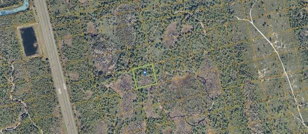 COUNTY LINE DITCH RD, Oak Hill, FL 32759
