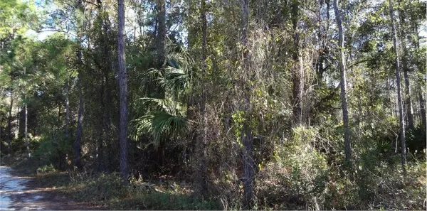 12TH AVE, Deland, FL 32724