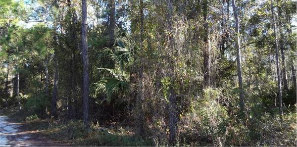 12TH AVE, Deland, FL 32724